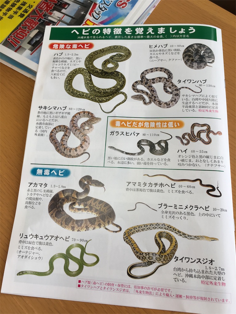 ヘビの特徴を覚えましょう 石垣島 沖縄の暮らし A Life In Ishigaki Island Okinawa