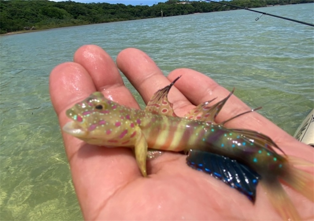 f:id:ISG:20220424211526j:image