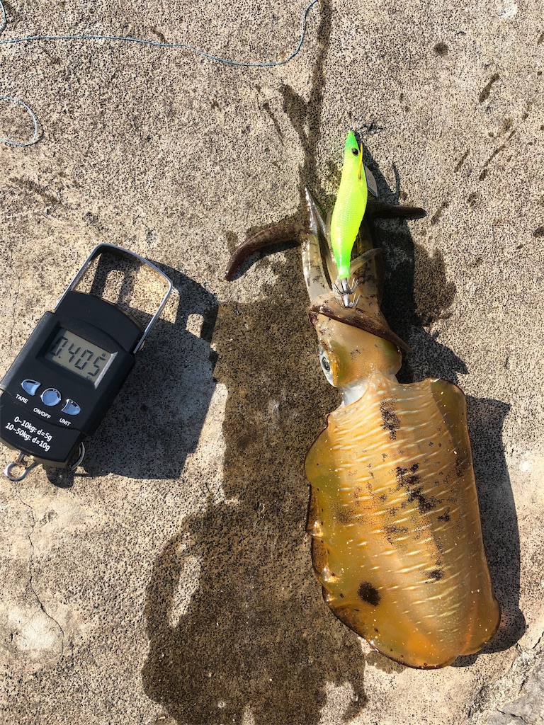f:id:ITchannel:20191105235022j:image