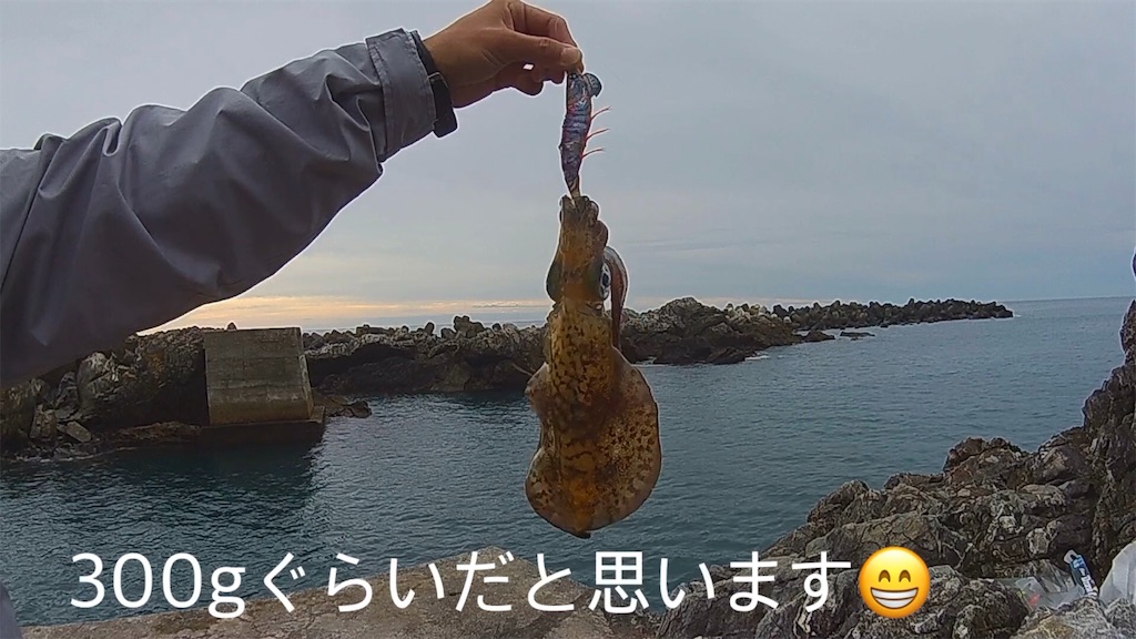 f:id:ITchannel:20191128223853j:image