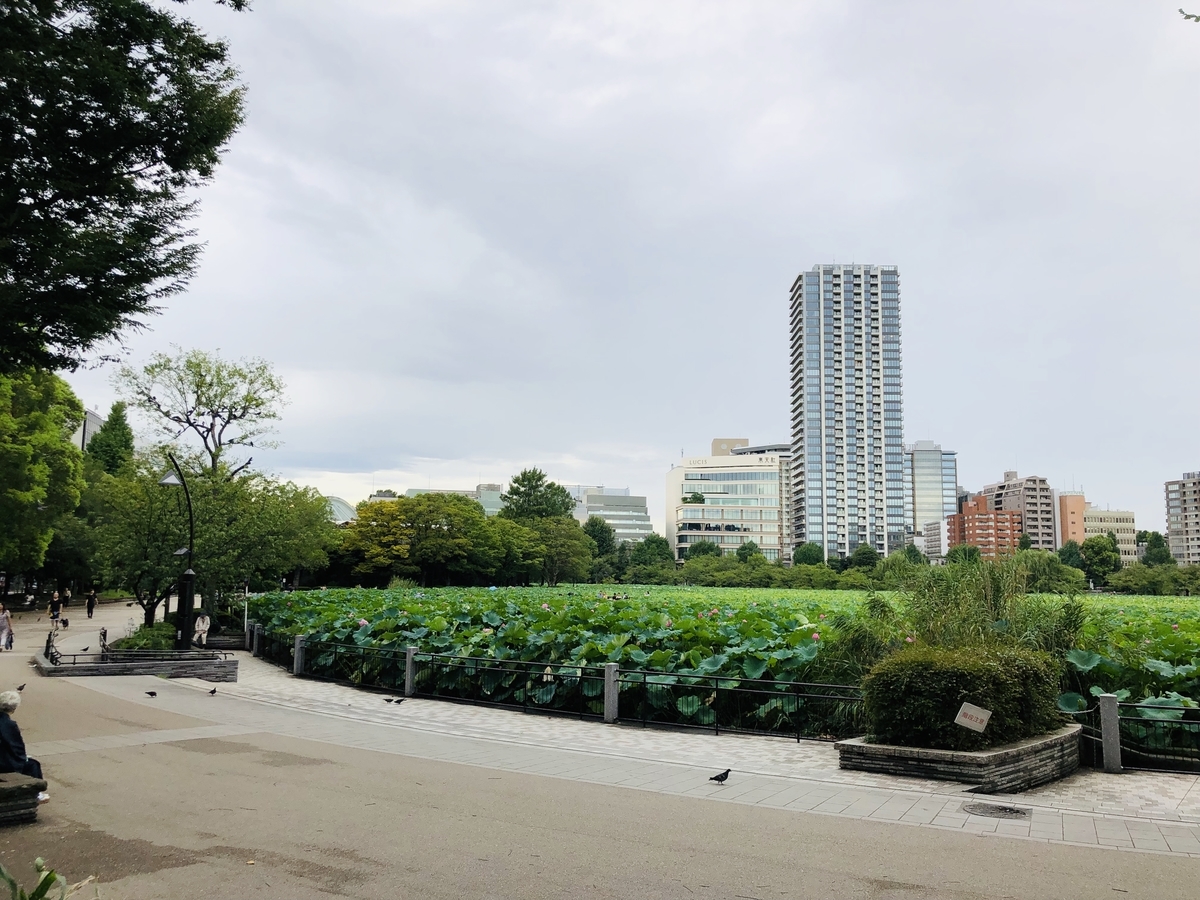 f:id:ITlover:20190830212854j:plain