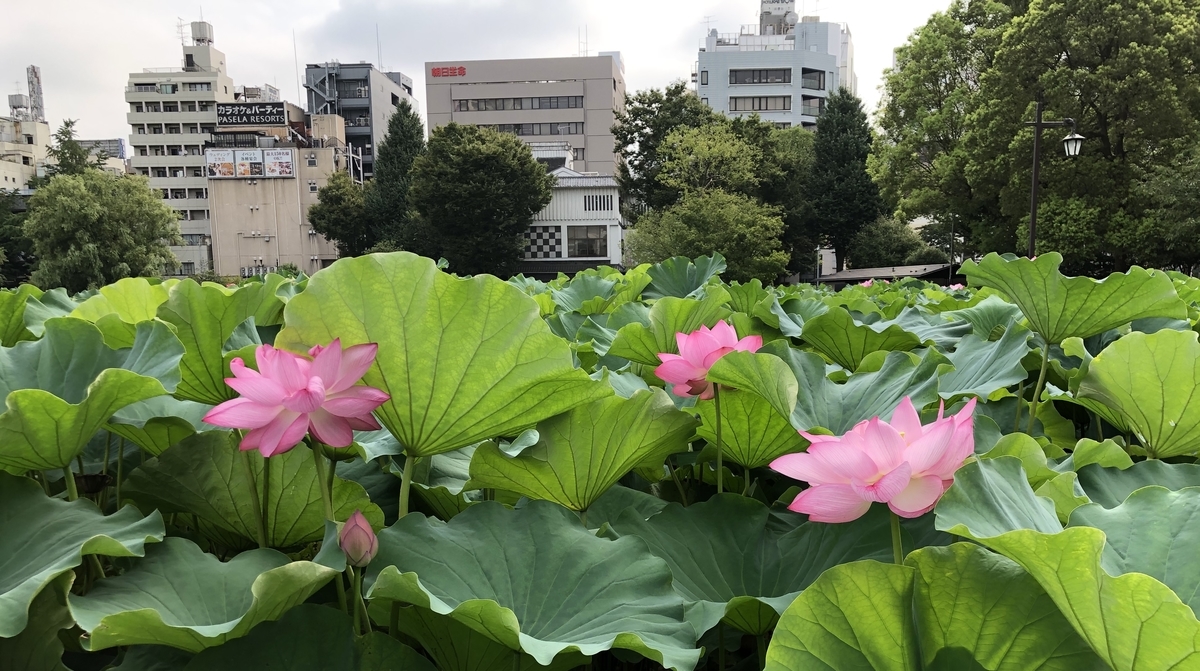 f:id:ITlover:20190830213005j:plain