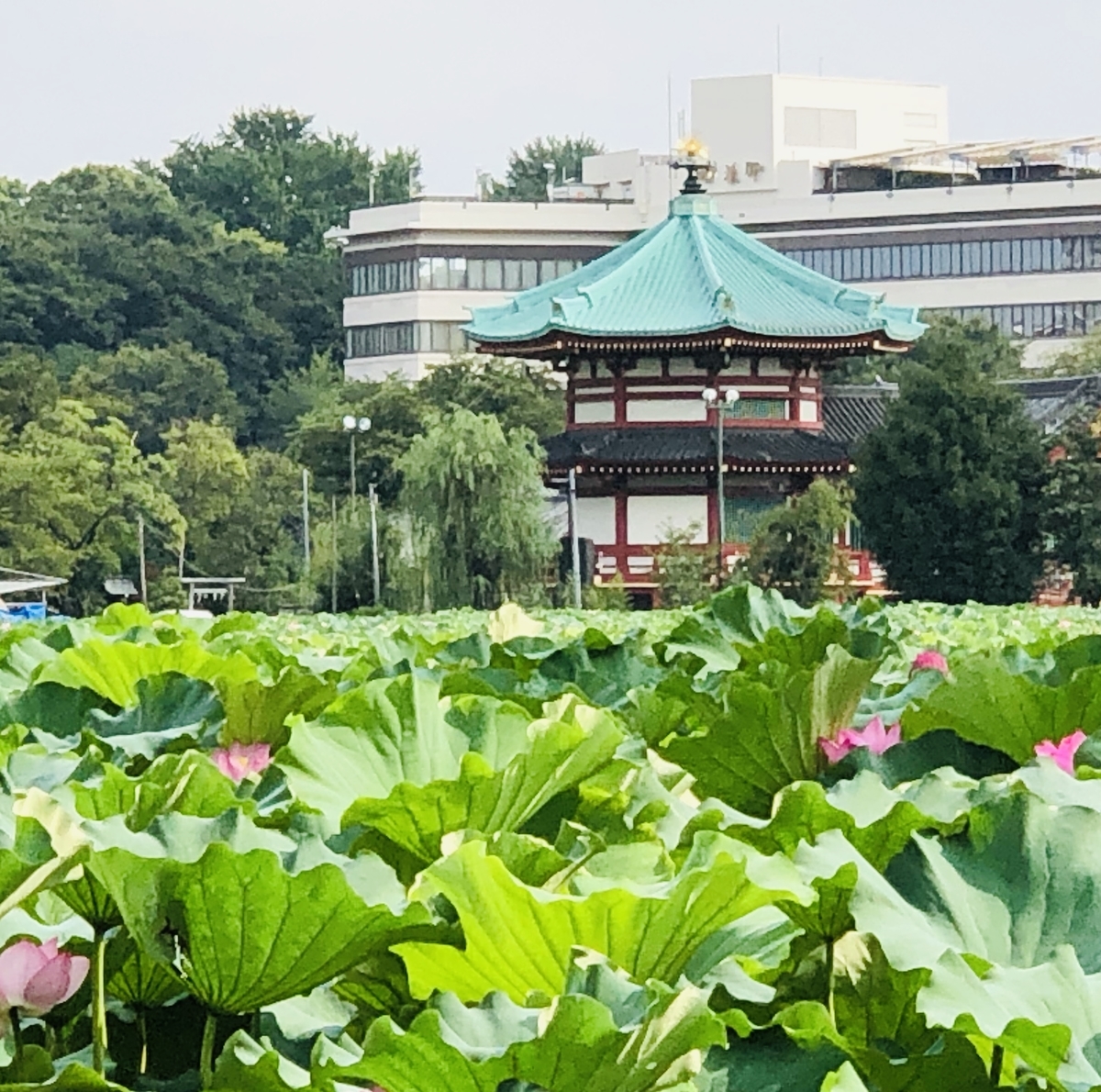 f:id:ITlover:20190830213214j:plain
