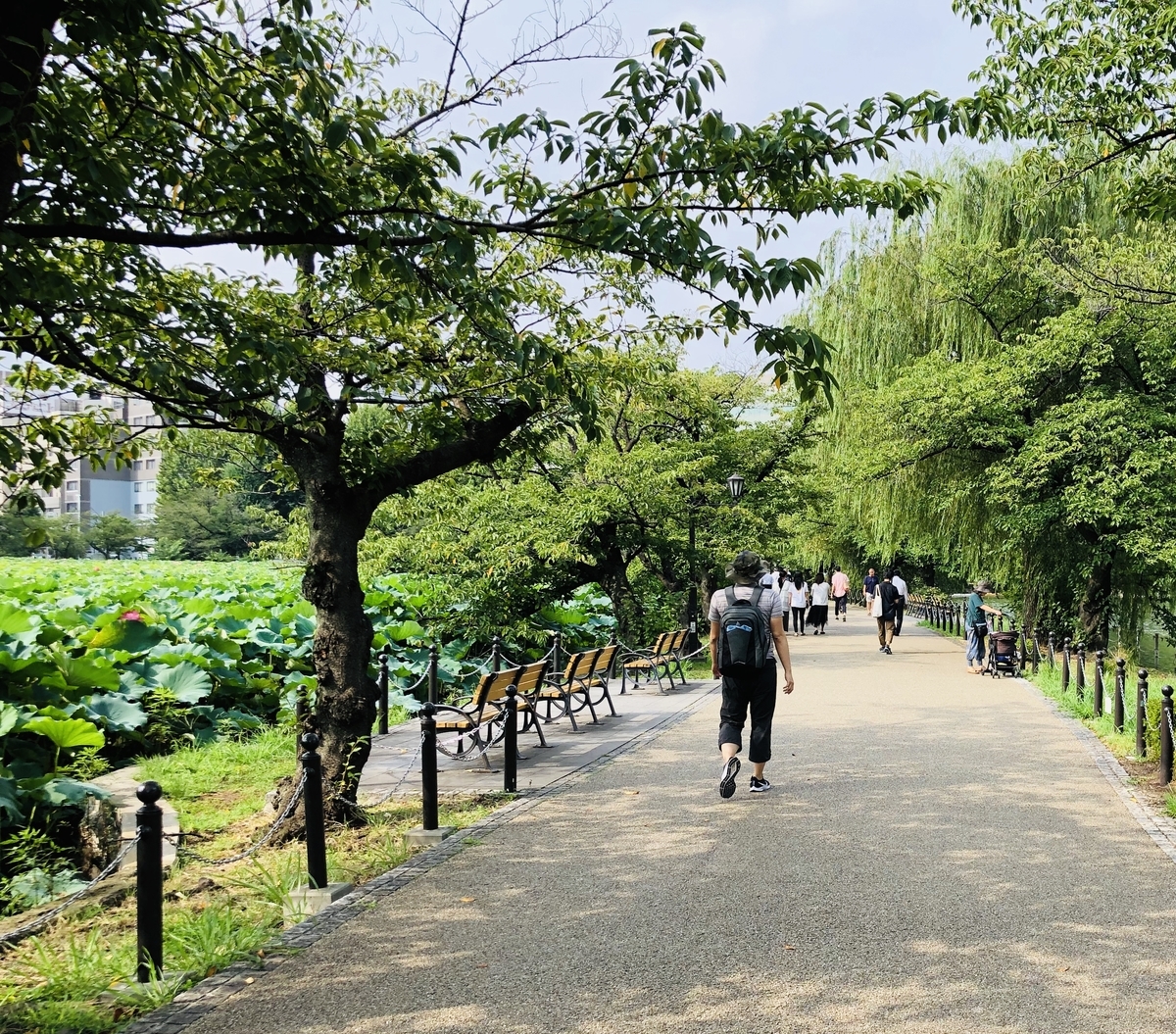 f:id:ITlover:20190830213234j:plain