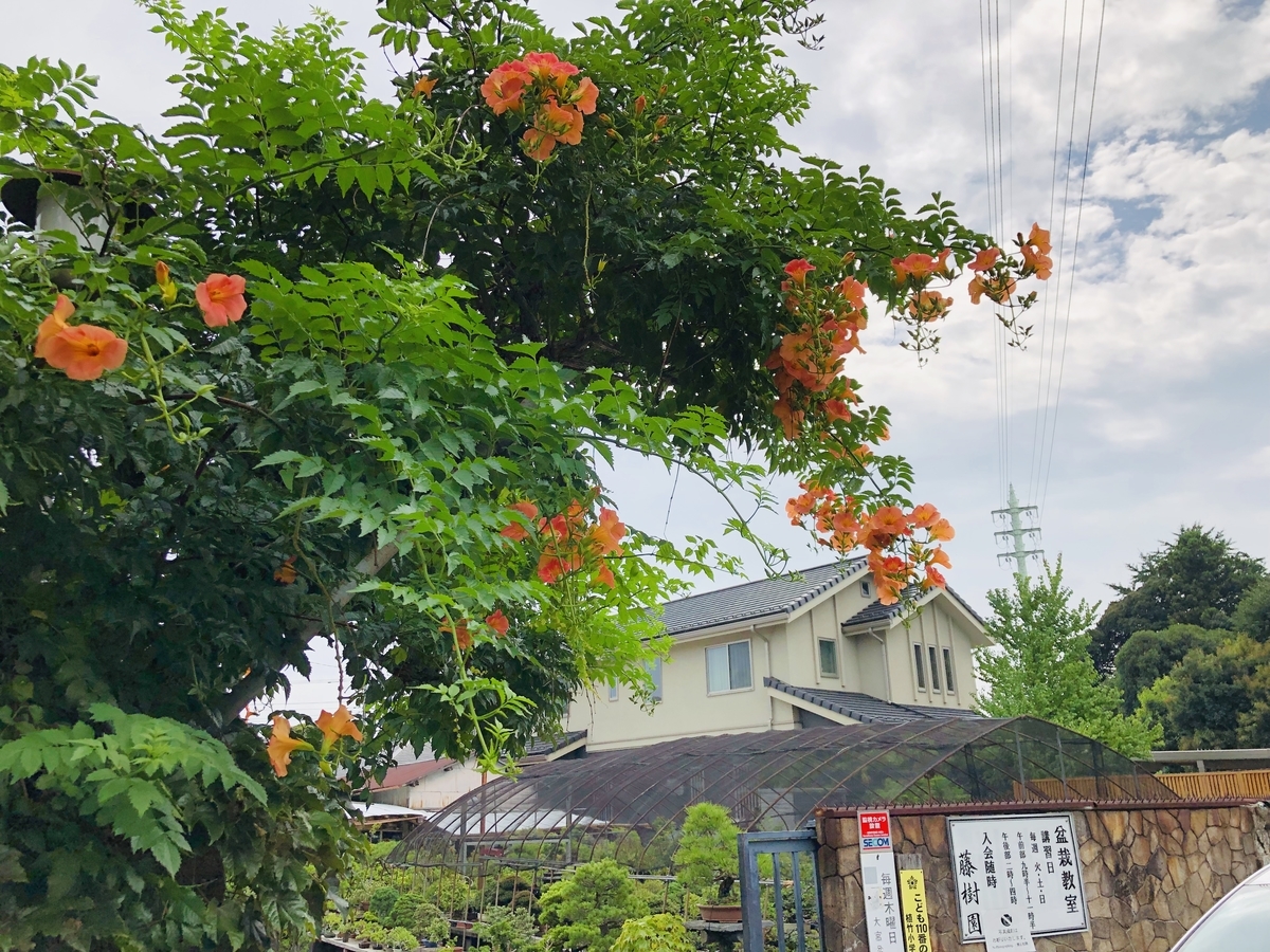 f:id:ITlover:20190902222837j:plain