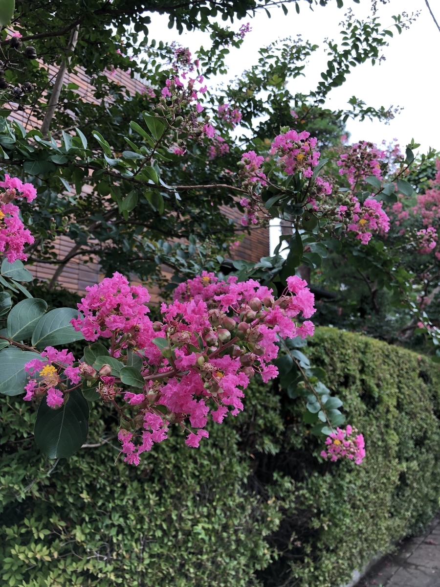 f:id:ITlover:20190902222857j:plain
