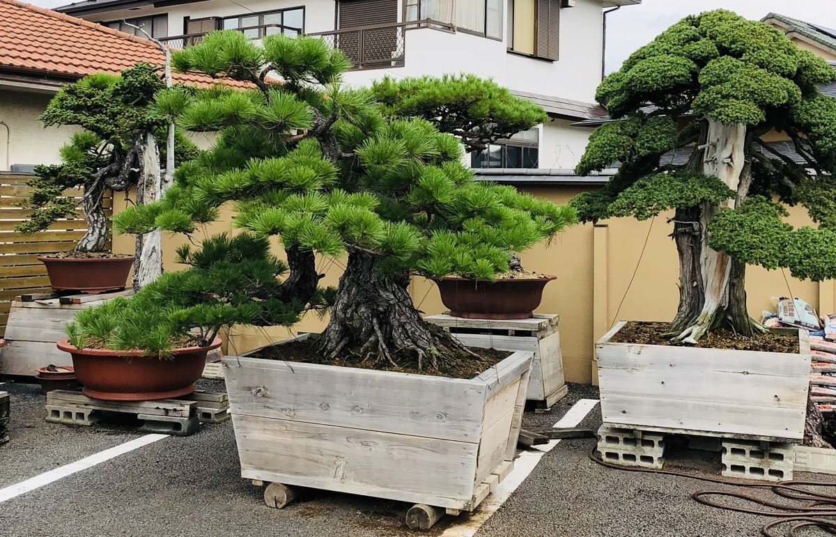 f:id:ITlover:20190902223002j:plain