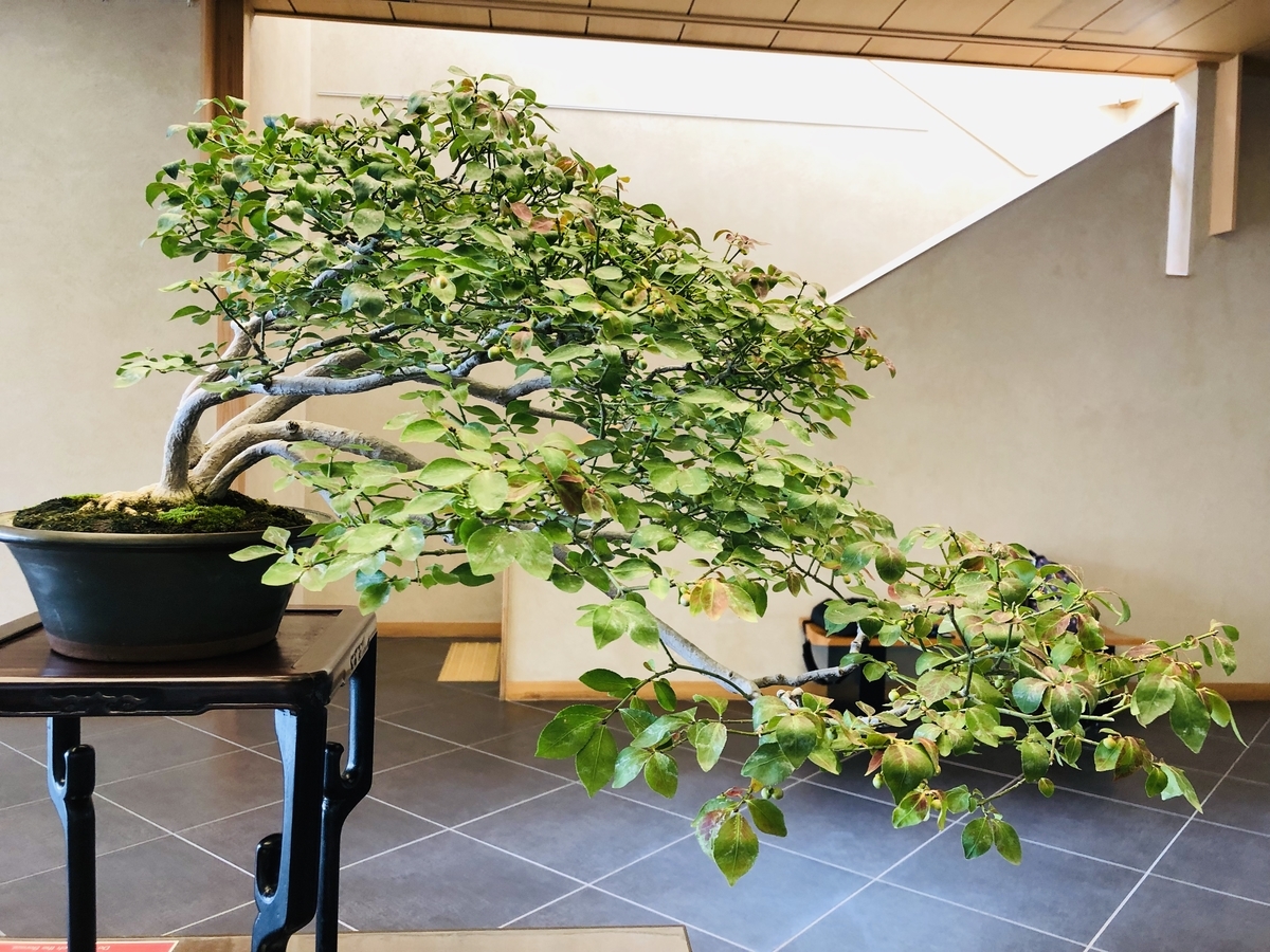f:id:ITlover:20190902223047j:plain