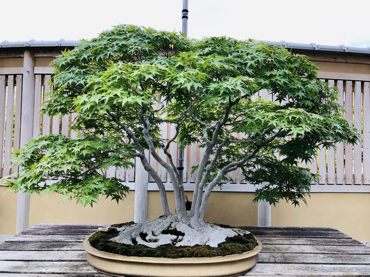 f:id:ITlover:20190902223223j:plain