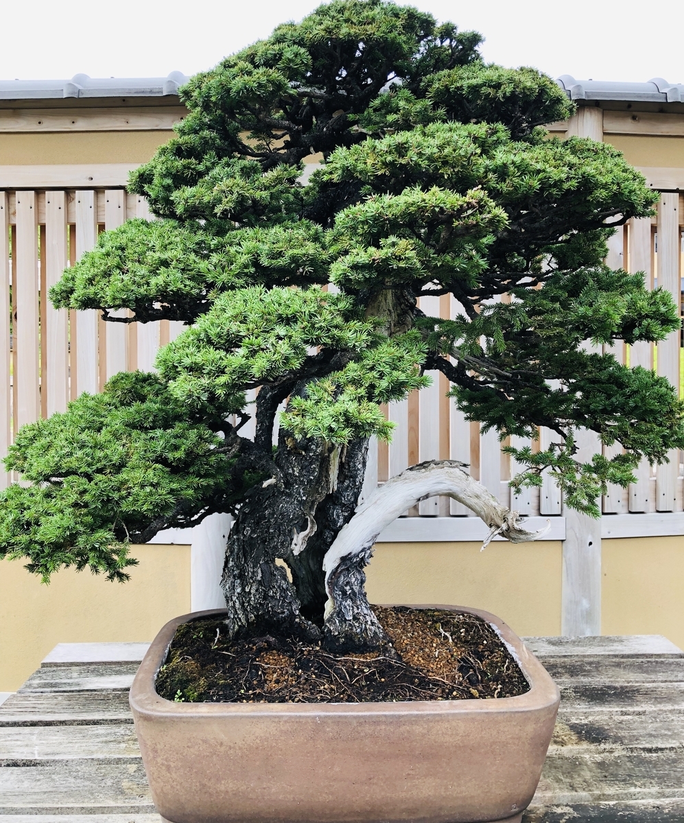 f:id:ITlover:20190902223253j:plain