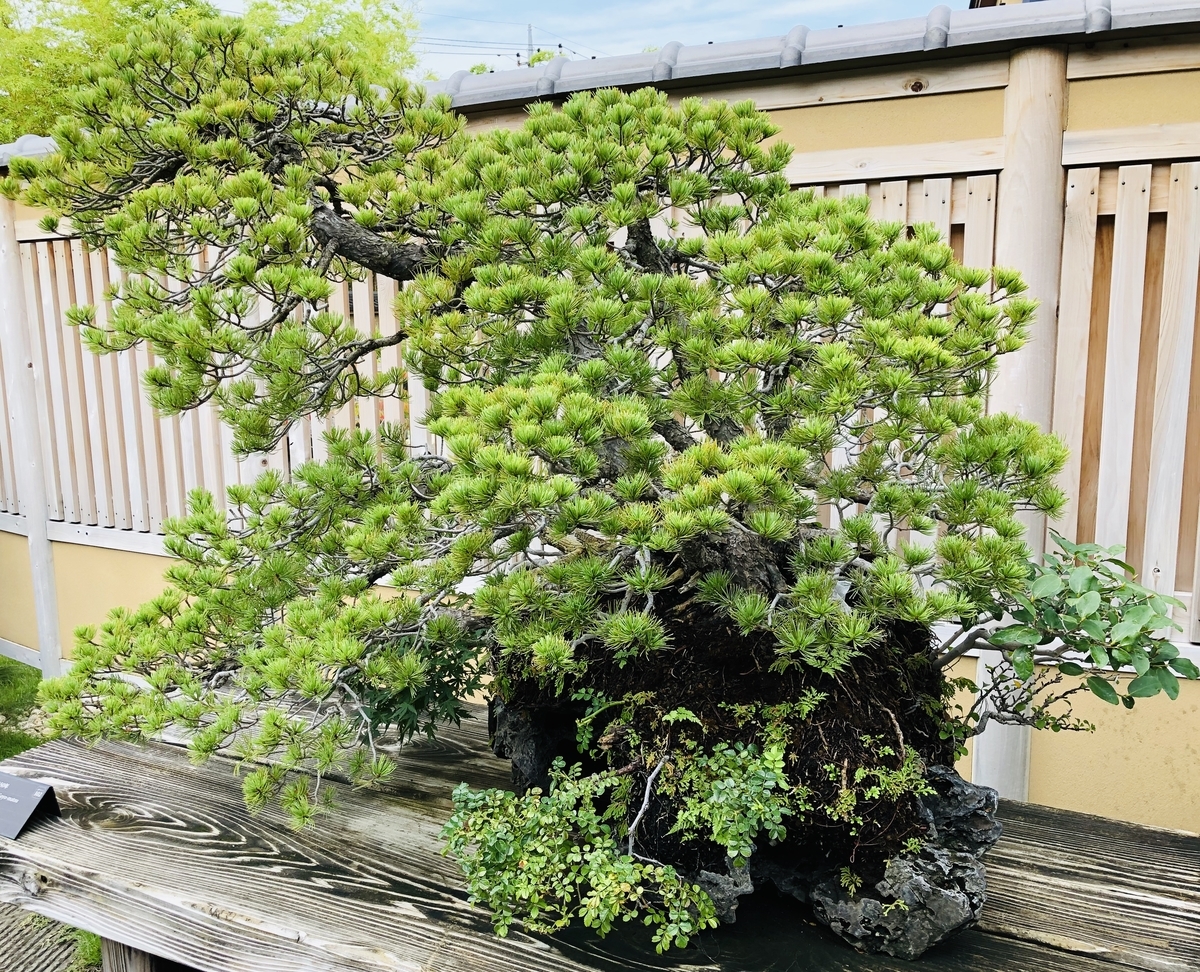 f:id:ITlover:20190902223259j:plain