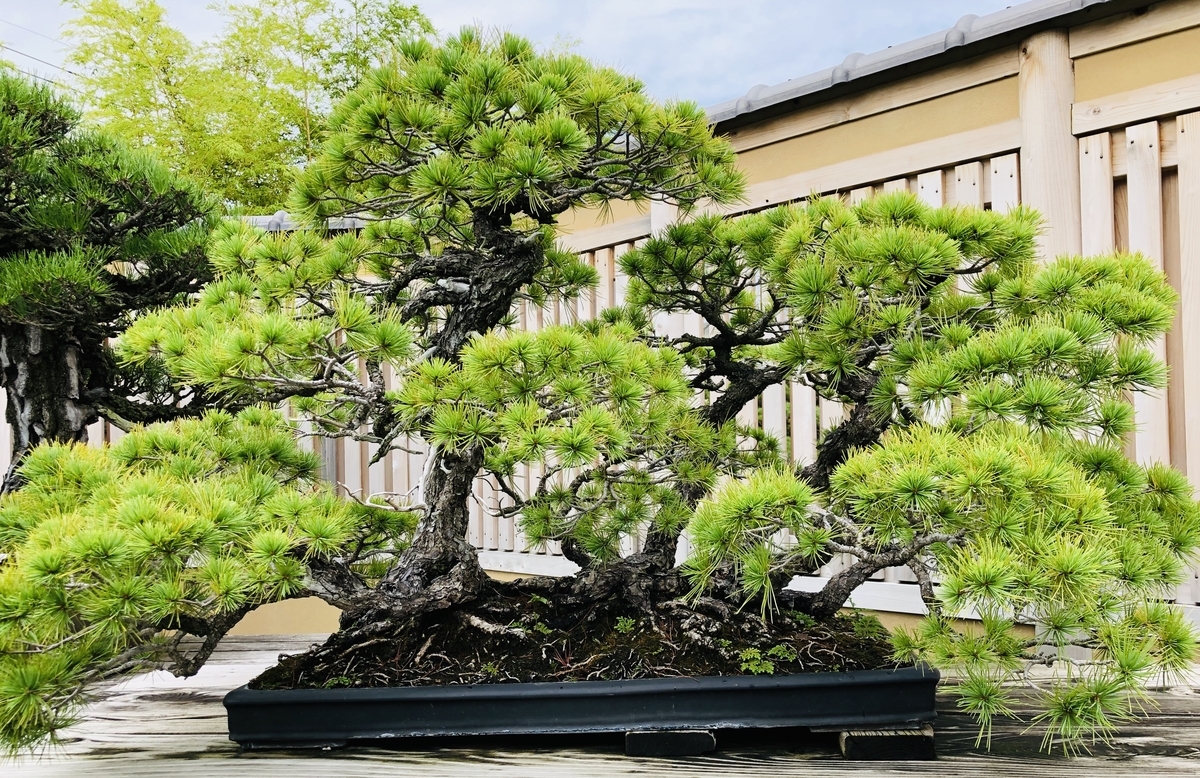 f:id:ITlover:20190902223302j:plain
