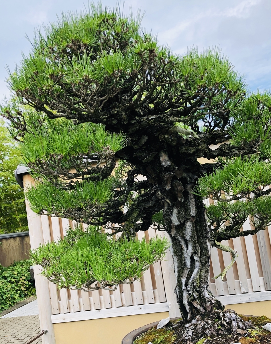 f:id:ITlover:20190902223308j:plain