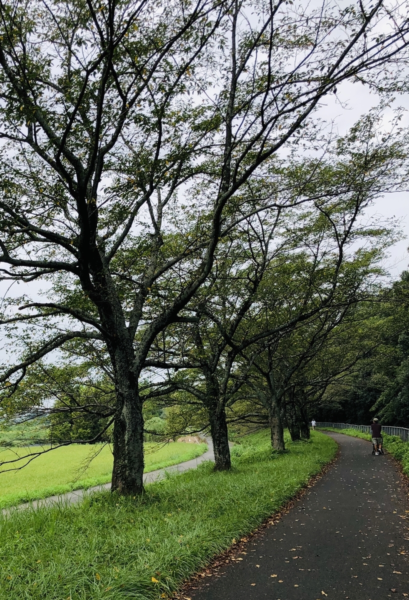 f:id:ITlover:20190905223916j:plain
