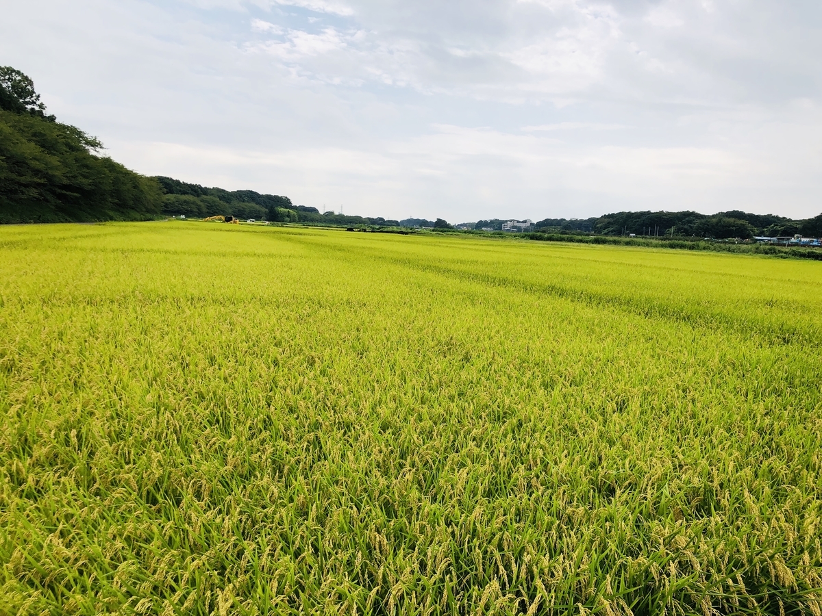 f:id:ITlover:20190905223956j:plain