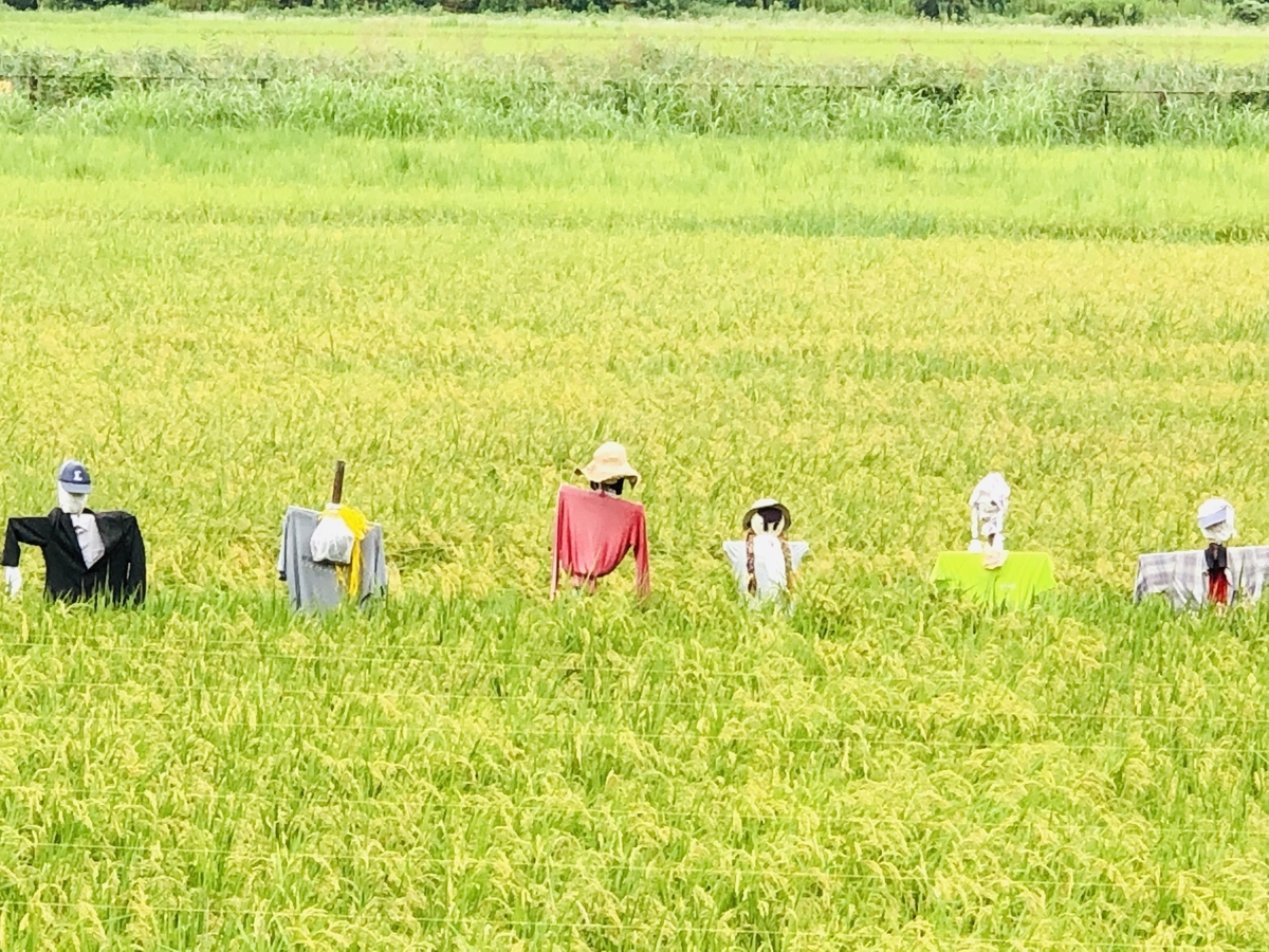 f:id:ITlover:20190905224057j:plain