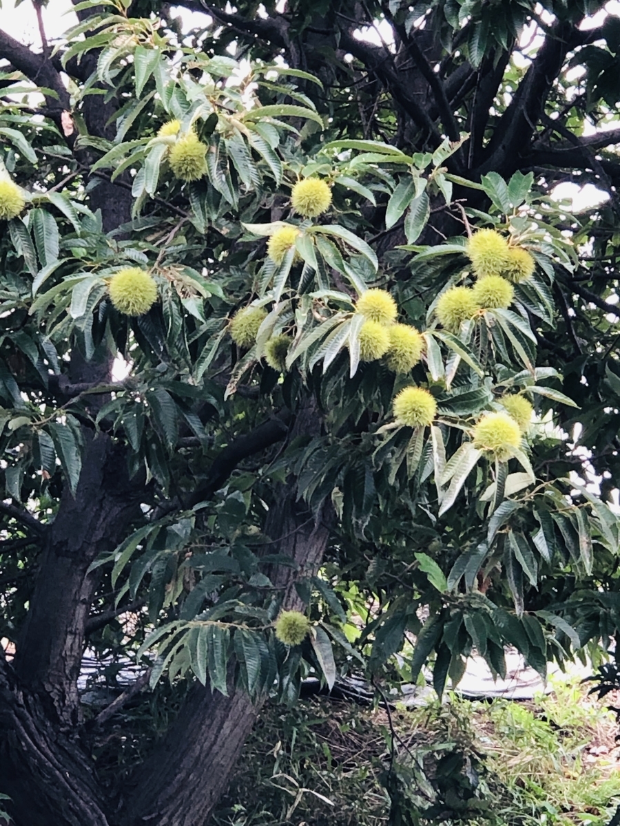 f:id:ITlover:20190905224203j:plain