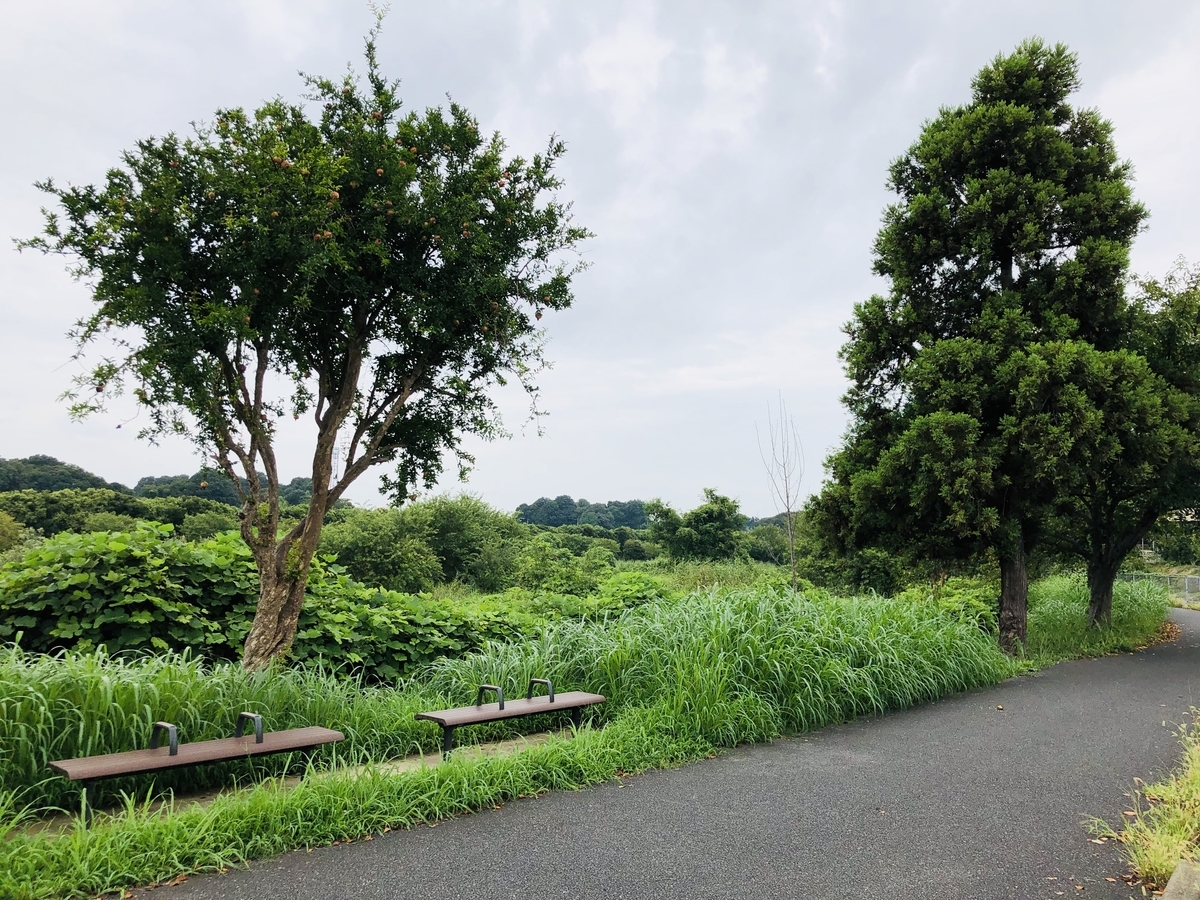 f:id:ITlover:20190905224246j:plain