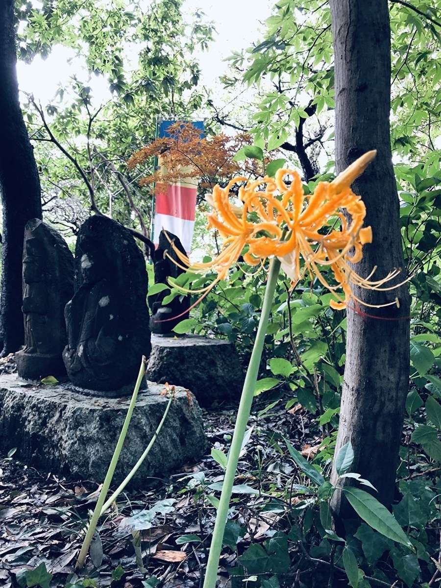f:id:ITlover:20190916211421j:plain