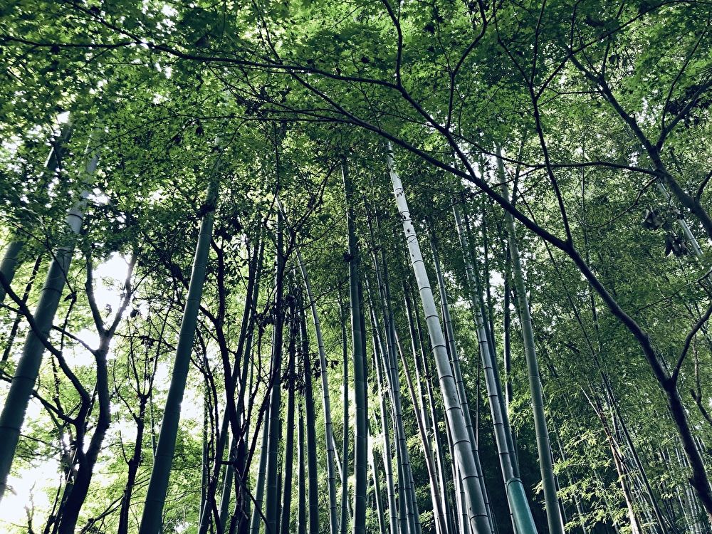 f:id:ITlover:20190916211536j:plain