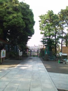 f:id:IWAKIRI:20090509080329j:image:right