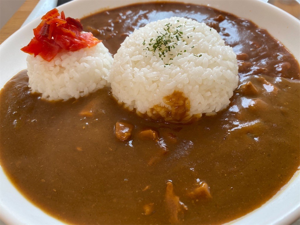f:id:IWAKIRI:20210311143932j:image f:id:IWAKIRI:20210311143932j:image
