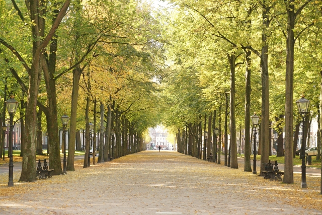 <a href="https://www.photo-ac.com/profile/413879">くぽ丸</a>さんによる<a href="https://www.photo-ac.com/">写真AC</a>からの写真