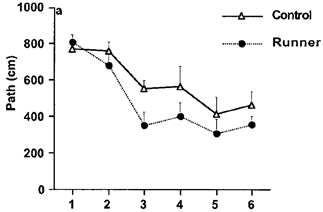 f:id:I_my_mine:20190305212539p:plain