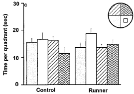 f:id:I_my_mine:20190305212645p:plain