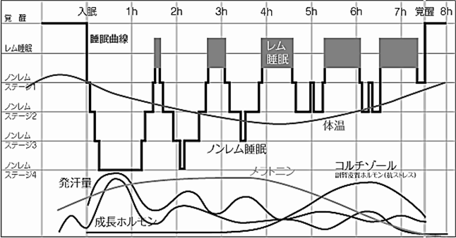 f:id:I_my_mine:20190606203340p:plain