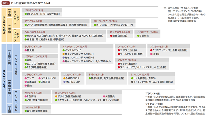 あいまいまいんの生物学 はてなブログ