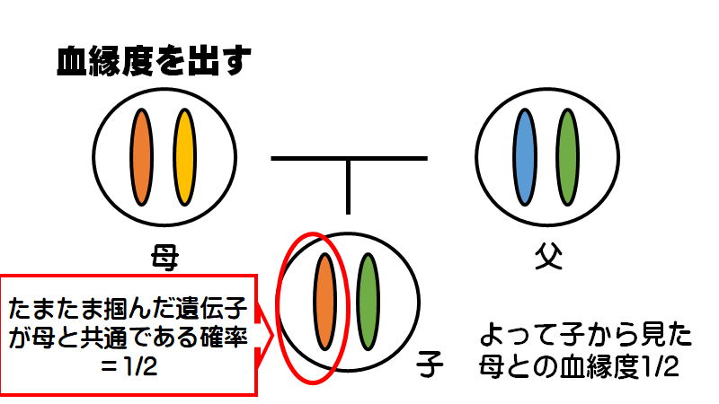 f:id:I_my_mine:20200907100827p:plain