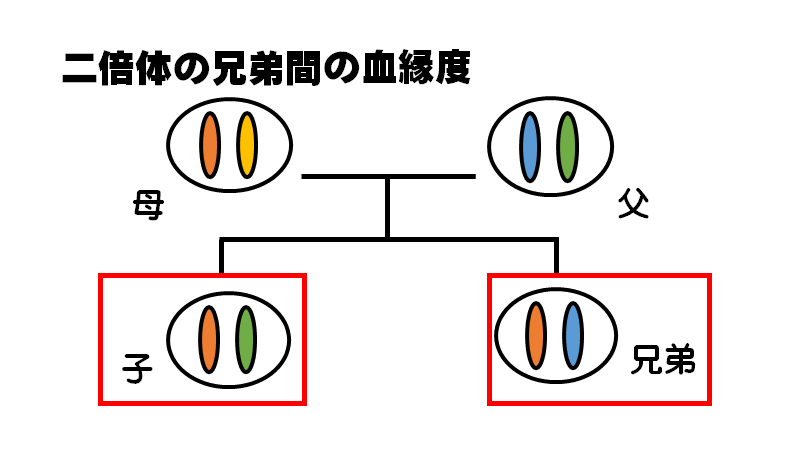 f:id:I_my_mine:20200907100919p:plain