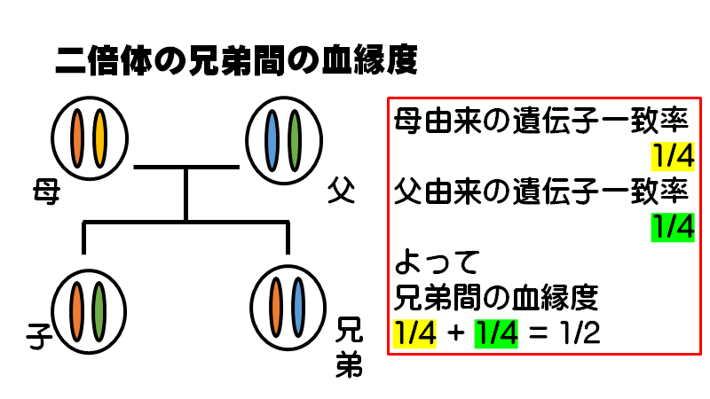 f:id:I_my_mine:20200907101025p:plain