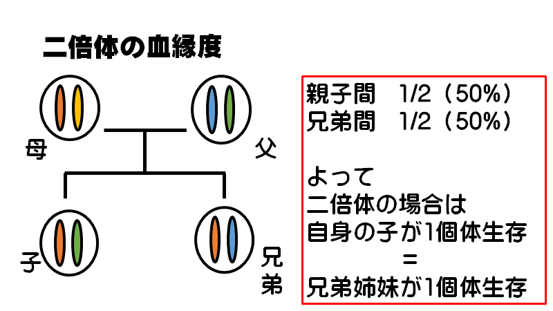 f:id:I_my_mine:20200907101036p:plain