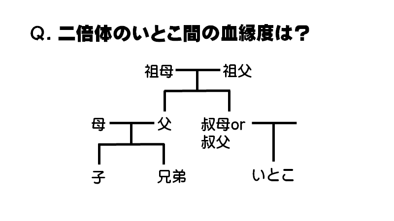 高校の授業で 血縁度の計算 あいまいまいんの生物学