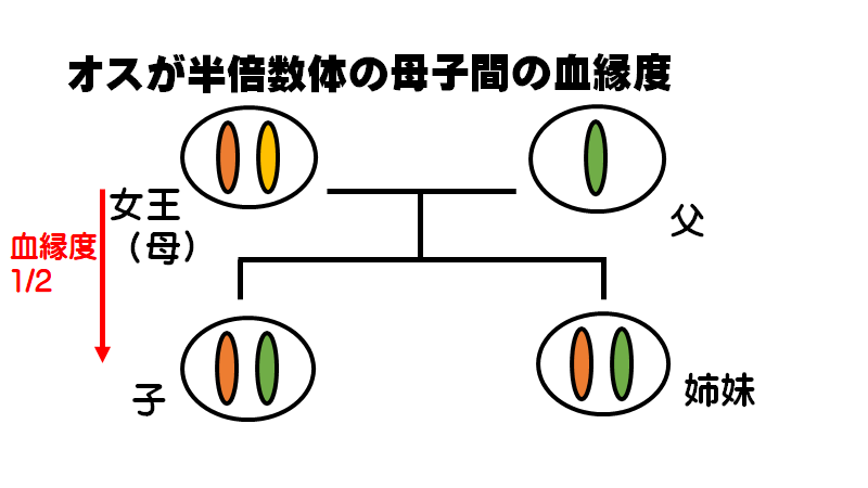 f:id:I_my_mine:20200907101135p:plain