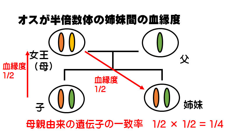 f:id:I_my_mine:20200907101222p:plain