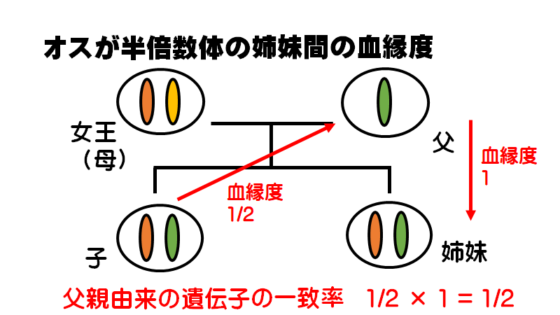 f:id:I_my_mine:20200907101243p:plain