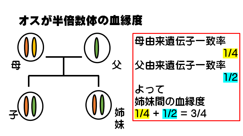 f:id:I_my_mine:20200907101315p:plain