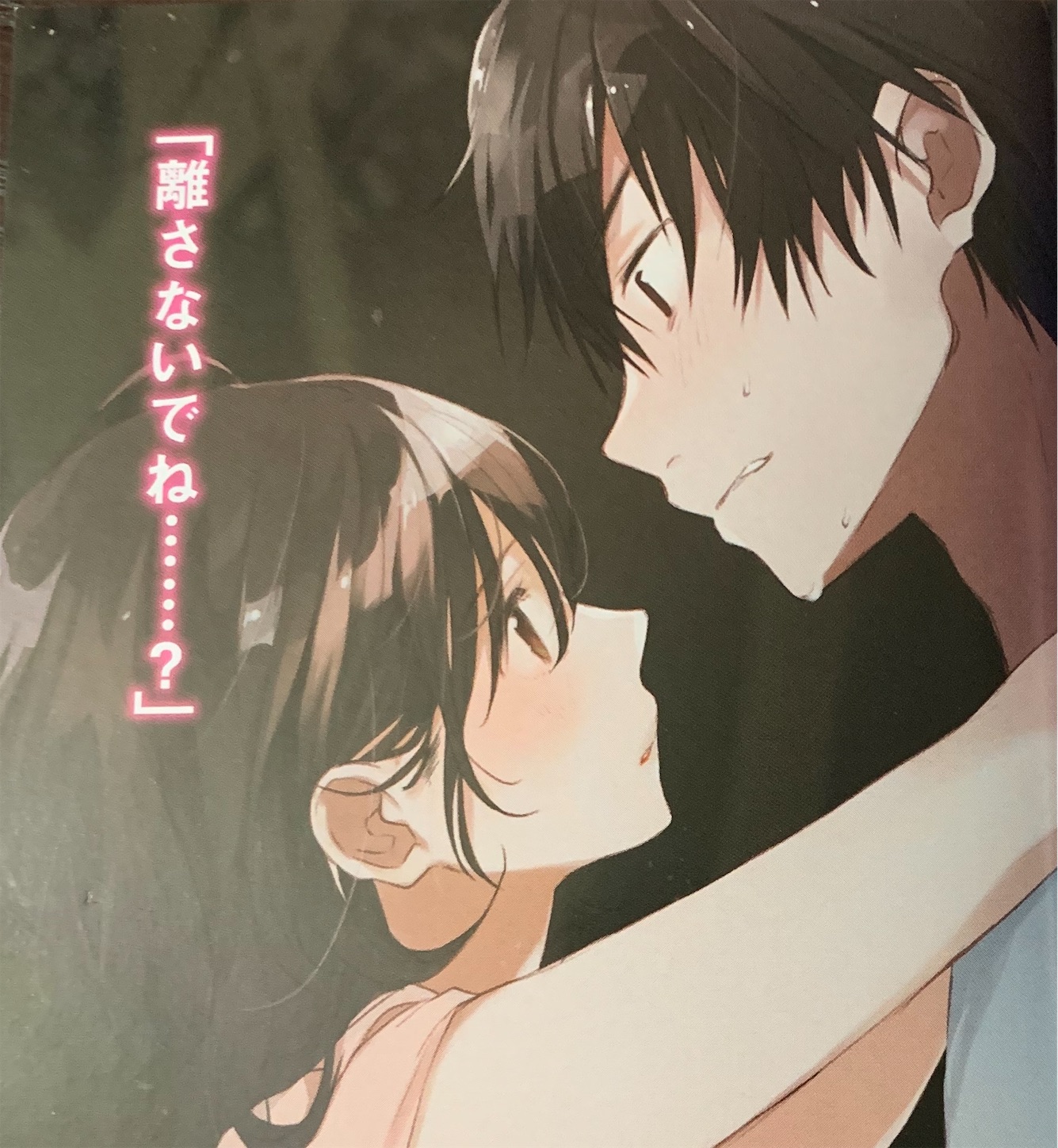 f:id:I_shall_return:20200724174824j:image