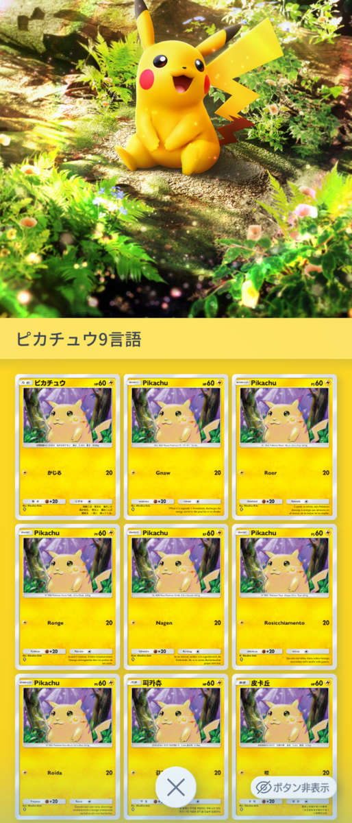 集めて、飾って、バトルしよう！～ポケポケ多言語ライフのススメ