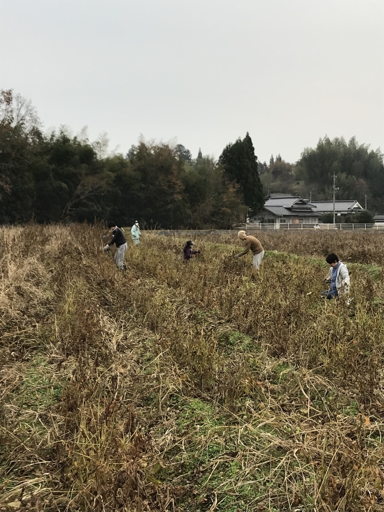 f:id:Ibuki-japan:20181126214135j:plain