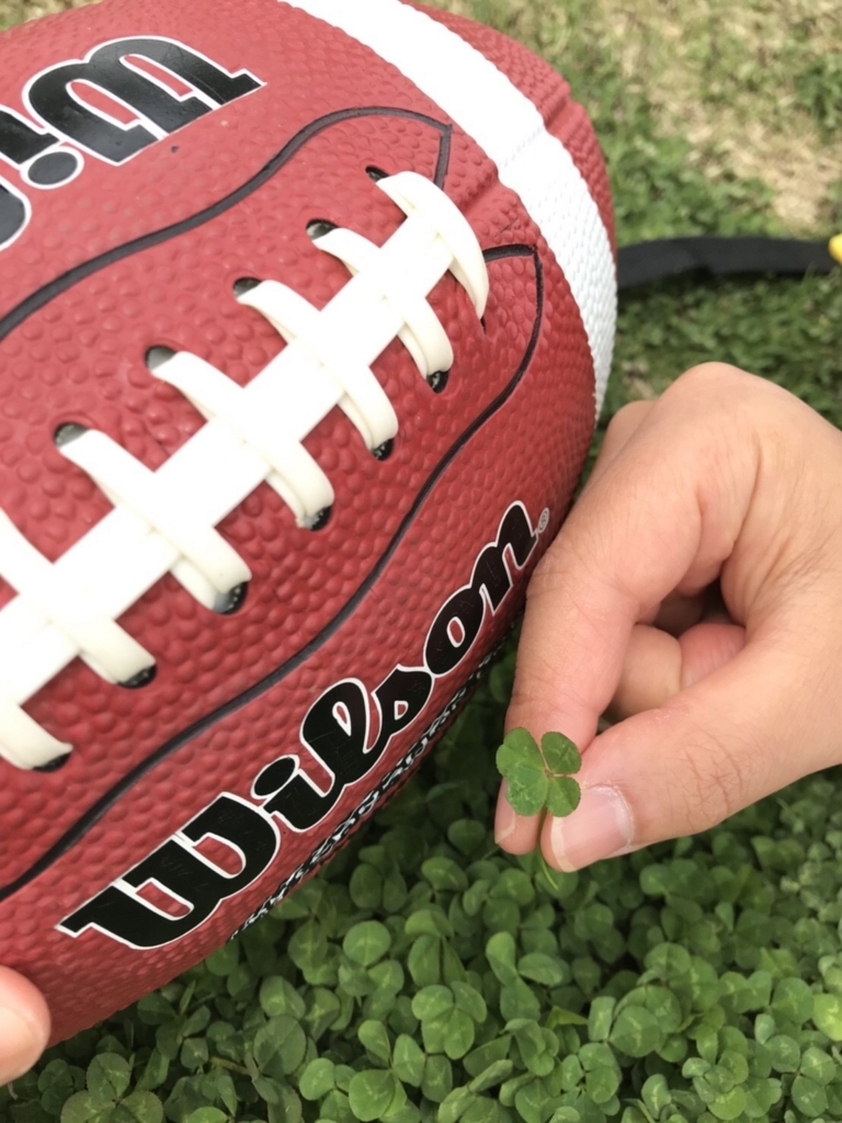 f:id:Icchy:20180525091444j:plain