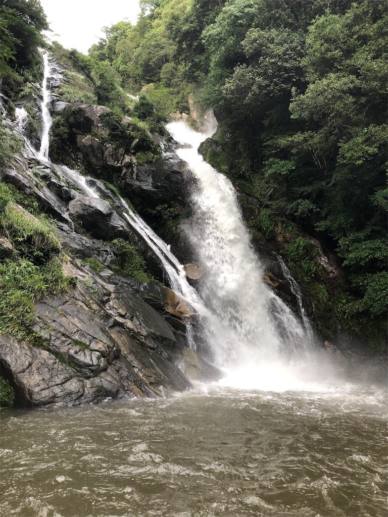 f:id:IchiHaru:20190819102555j:image f:id:IchiHaru:20190819102555j:image
