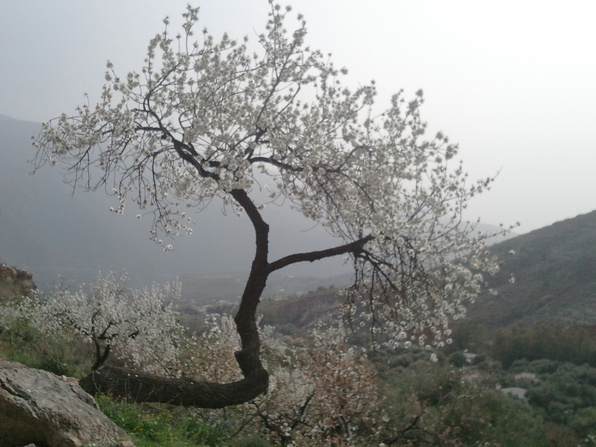 f:id:Iching-for-life:20210129212338j:plain