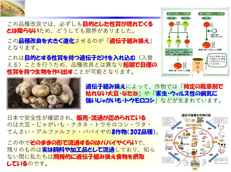 f:id:IchiroStories:20210308111032j:plain