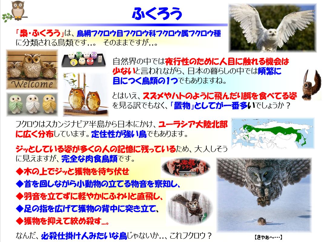 f:id:IchiroStories:20210503092645j:plain