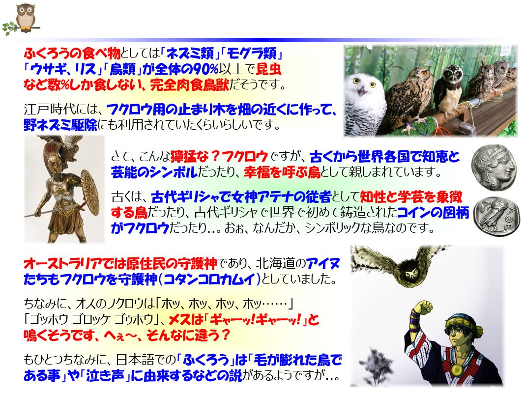 f:id:IchiroStories:20210503092648j:plain