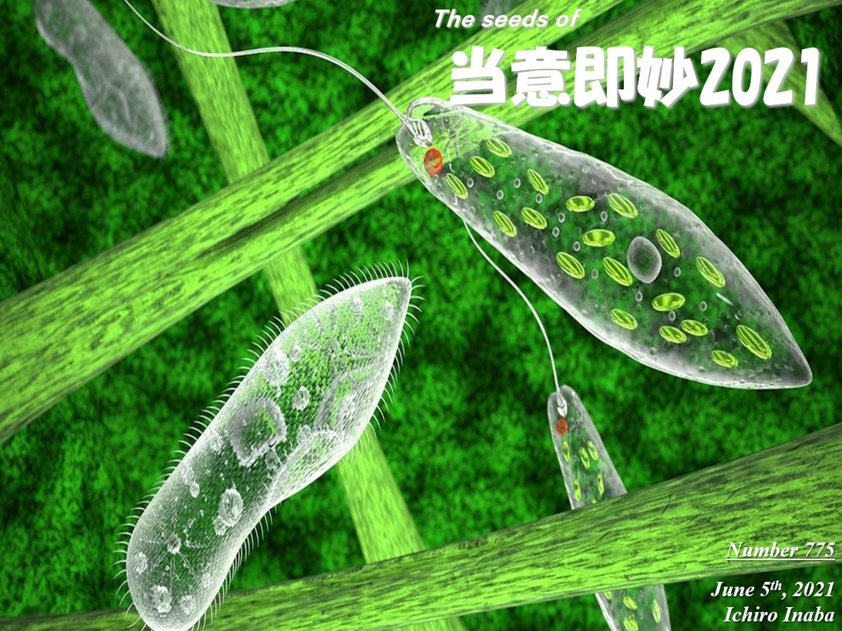 f:id:IchiroStories:20210605104253j:plain